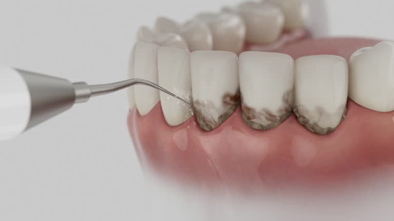 Reliable Dental contractor in Lenape Heights, PA by Dentist Open Now